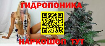 Альфа ПВП Заволжье
