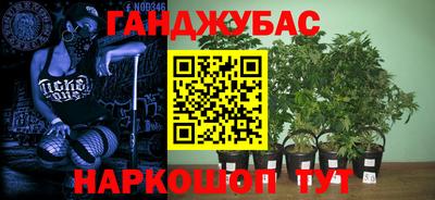 Альфа ПВП Заволжье